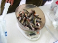 Фотоотчет с ЧЗО по ловле рыбы на мормышку