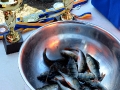 Фотоотчет с Фестиваля ЗРК по ловле рыбы на мормышку