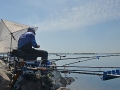 ФЛАГМАН – весенний фестиваль ЗРК по ловле рыбы фидером 2017 г.   фотоотчет