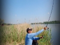 Фотоотчет с фестиваля по ловле рыбы фидером и поплавочной удочкой «ЗРК Megamix»