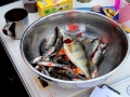 Фотоотчет с фестиваля ЗРК по ловле рыбы на мормышку