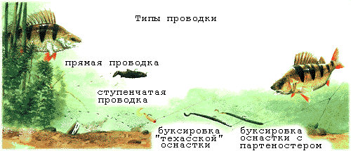 Типы проводки силиконовых приманок К.Кузьмин Базовые джиговые проводки: техника и тактика