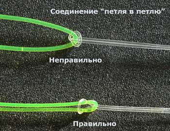 Внимание: поклевка!