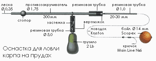 Без труда не вынешь карпа из пруда