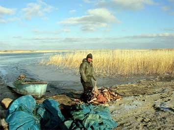 Украина: введена уголовная ответственность за рыбалку с электроудочками и динамитом