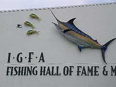 Чемпионат мира по ловле морских рыб с берега по версии IGFA