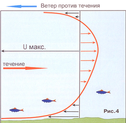 Речной лещ. Сила воды. Часть 2