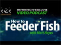 Matt Hayes – How to feeder fish