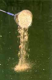 Прикормочные чашки. Часть 1