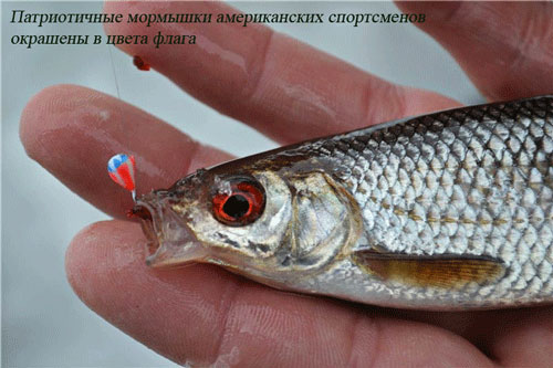 Сборная Украины   4 х кратные Чемпионы мира по ловле рыбы на мормышку!