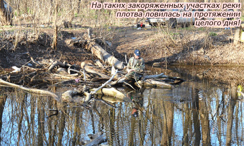 В поисках весенней плотвы по Запорожским водоемам