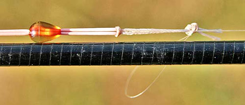 Привет, пустотелая! Или добро пожаловать в мир чувствительности Привет, пустотелая! Или добро пожаловать в мир чувствительности