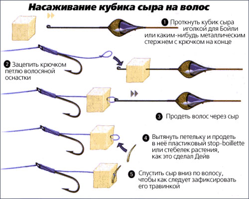 Фидерная тактика: кормушка против массированного закорма